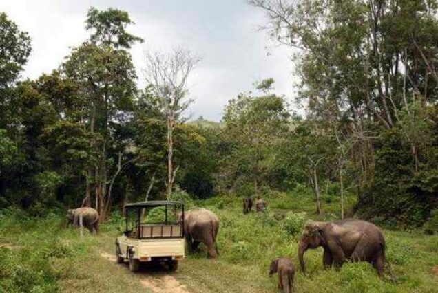 Sumatra Overland Tours