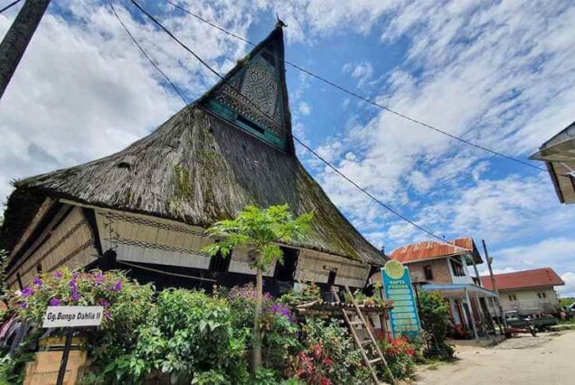 North Sumatra Special - Nature And Tropical Adventure