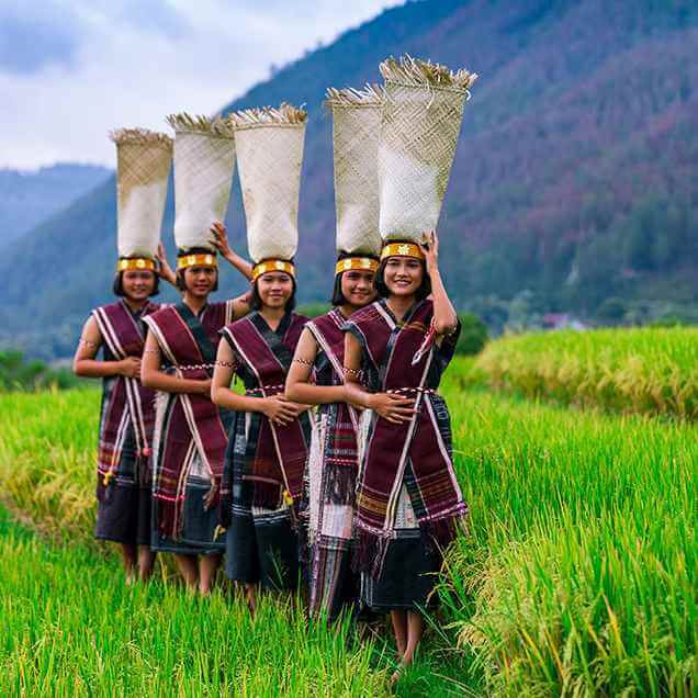 Northen Part Sumatra