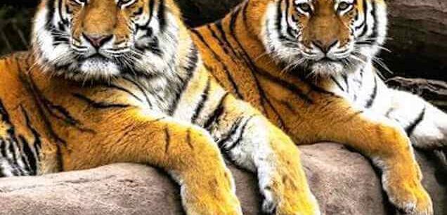 Southern Part Sumatra