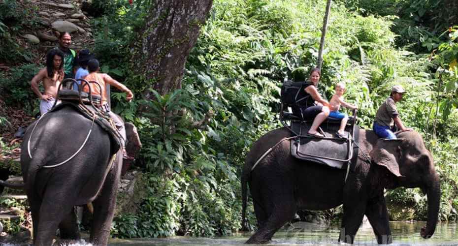 Tangkahan Ecotourism and Elephant Conservation Area