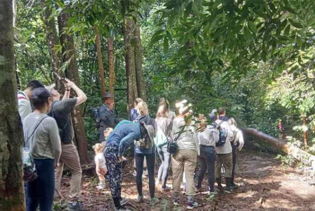 Wonders of Leuser National Park Trekking
