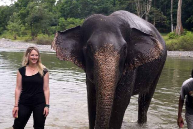 Sumatra Elephant & Sumatra Orang Utan