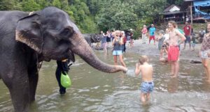 16 Days Explore Leuser National Park and Leisure at Pulau Weh