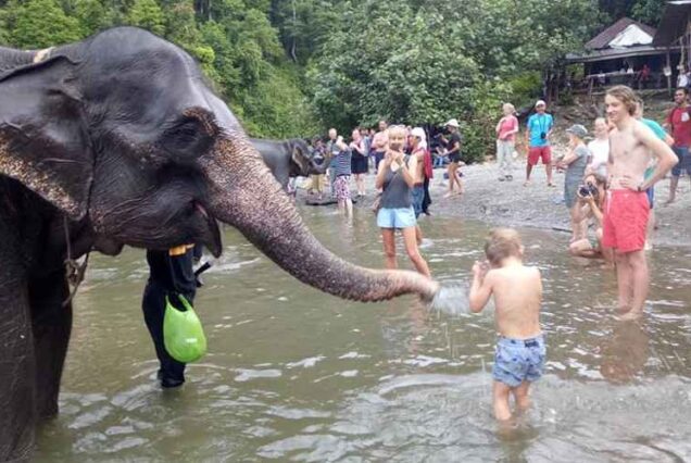 16 Days Explore Leuser National Park and Leisure at Pulau Weh