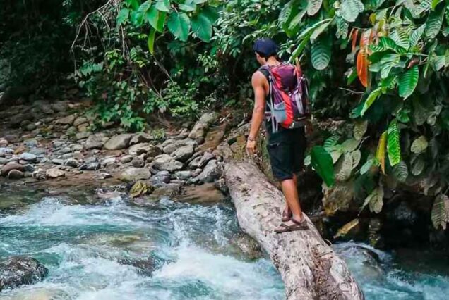 07 Days Medan – Berastagi – Ketambe and Lake Toba Tour