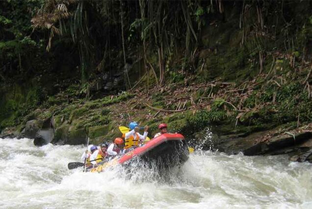 07 Days Medan – Bukit Lawang Adventure and Sibayak Vulcano Climbing