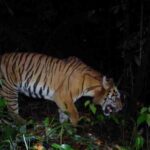 Kerinci Seblat National Park
