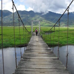 11 DAYS / 10 NIGHTS EXPLORE SUMATRA MEDAN – TANGKAHAN - BUKIT LAWANG - LAKE TOBA –  BUKITTINGGI TOUR